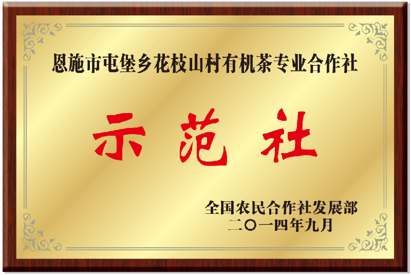 1670816817887.png 圖片8.png